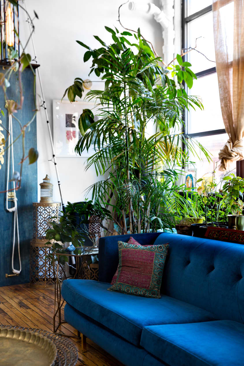 Brooklyn Home Tour A PlantFilled Red Hook Loft Apartment Therapy